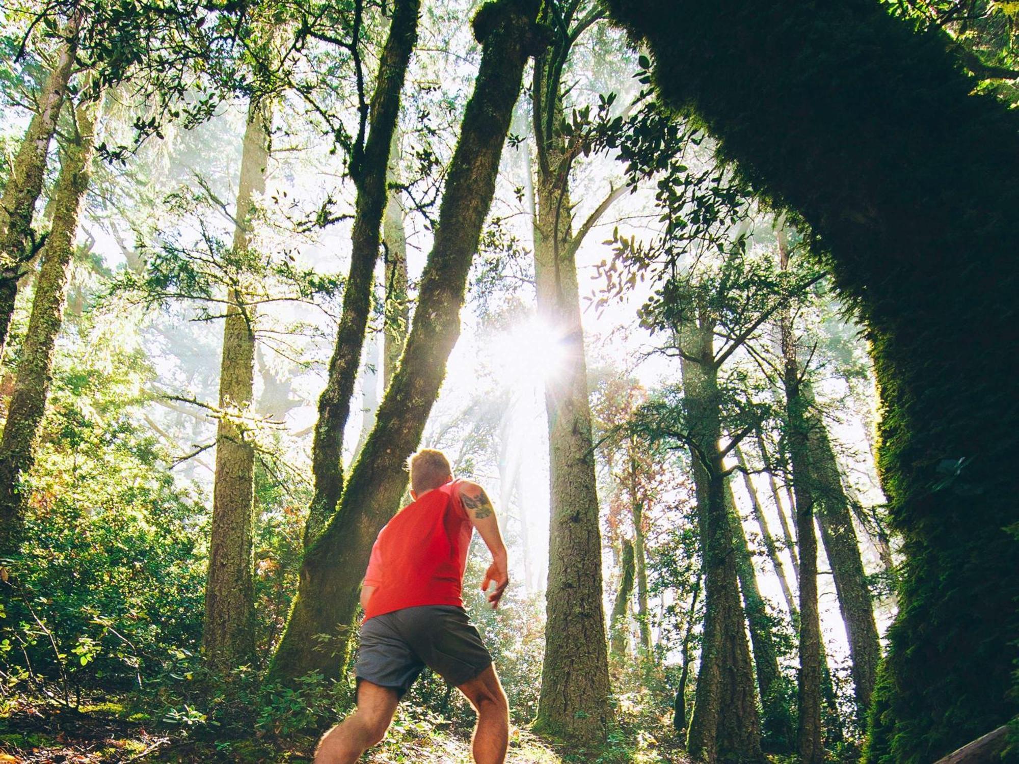 Fairmont San Francisco Hotel Exterior photo A trail runner in the forest